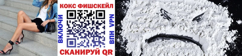 Кокаин Fish Scale  купить закладку  маркетплейс официальный сайт  Шимановск 