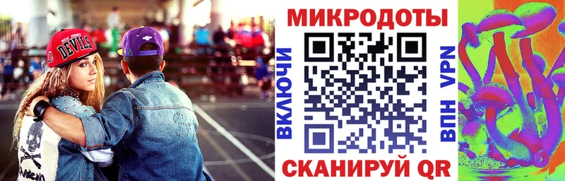 закладка  Шимановск  shop официальный сайт  Галлюциногенные грибы Psilocybe 